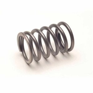 VALVE SPRING-EZGO RXV